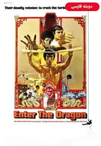 دانلود فیلم اژدها وارد می شود Enter the Dragon دوبله فارسی